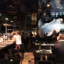 Ladenbau Sensei Ibk 3